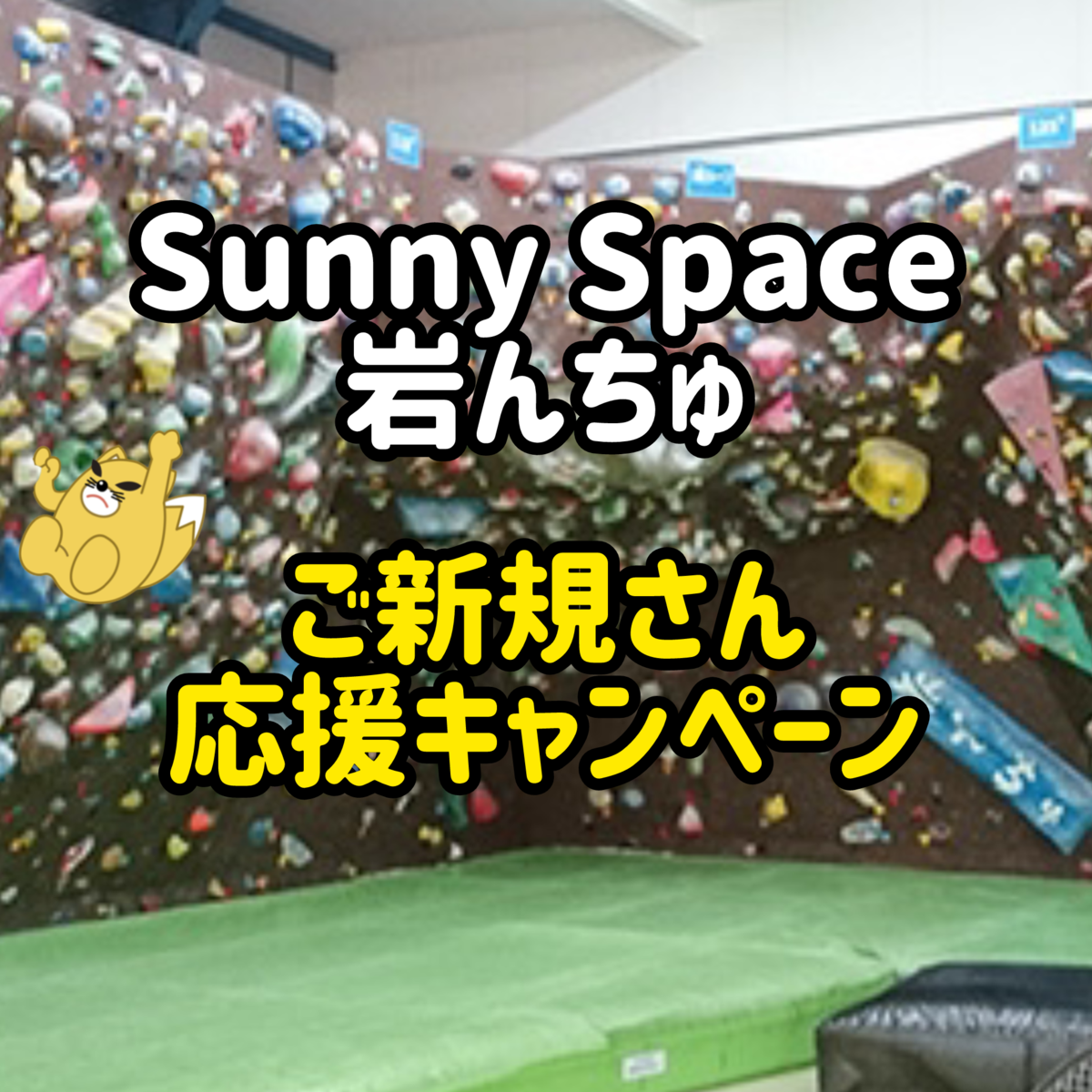 Sunny Space岩んちゅ　ご新規さん応援キャンペーン