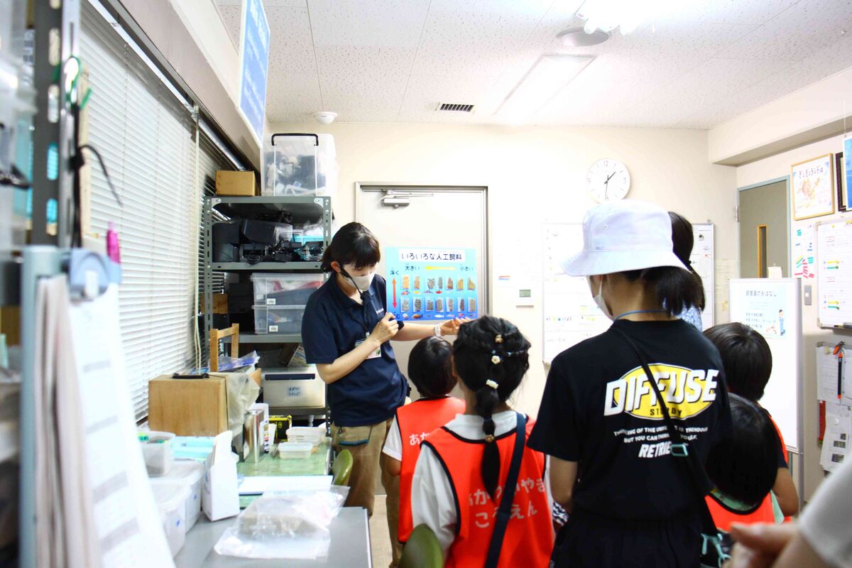 赤塚山公園　ぎょぎょランドバックヤードツアー！！ 豊川水系の生き物を見てみよう！