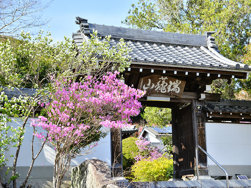 善住禅寺