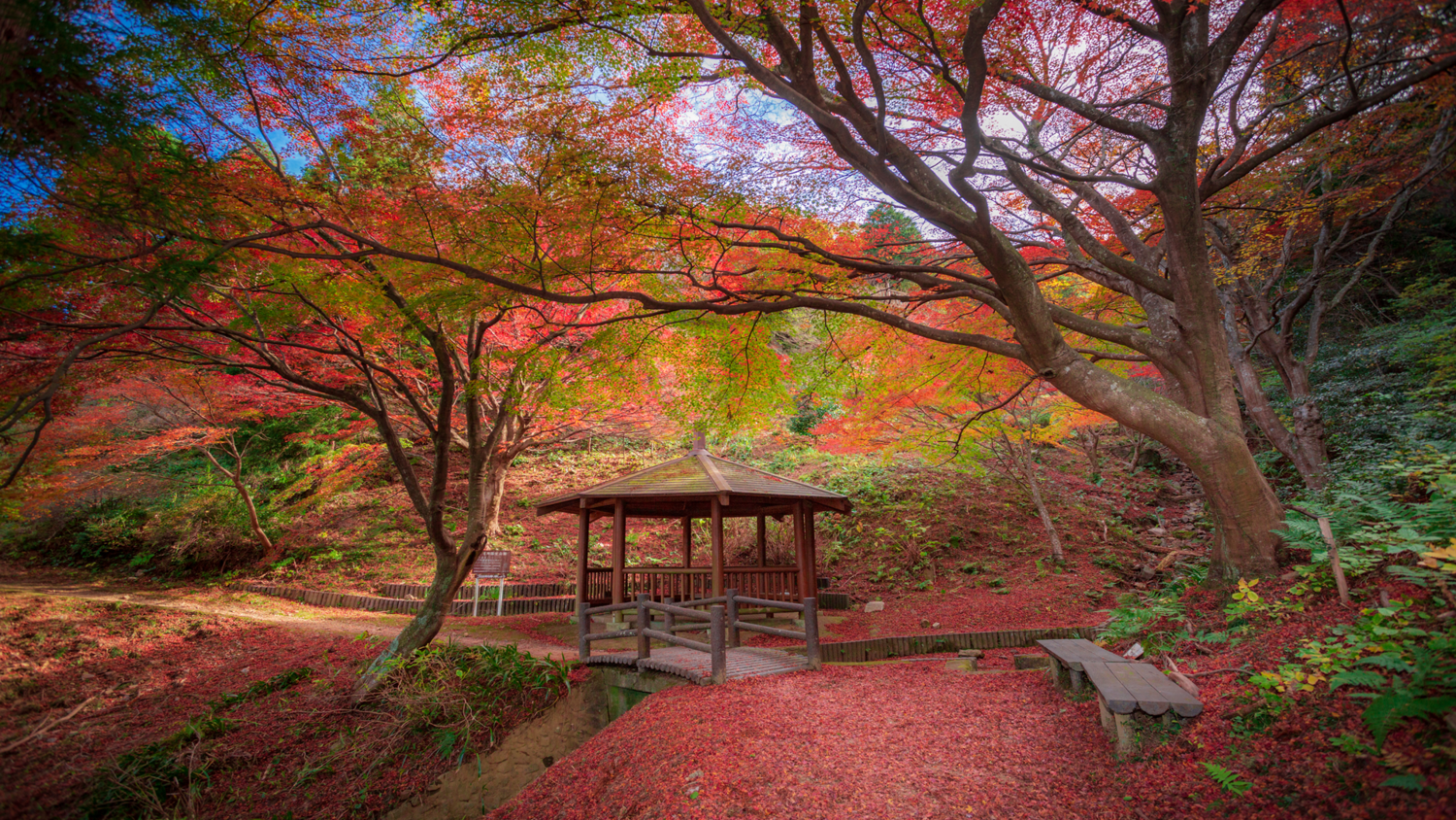 宮路山